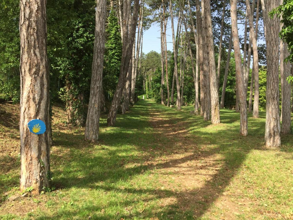 Les Hauts De Fixin, 50M2 Avec Exterieur Sur La Route Des Grands Crus, Dijon Sud Eksteriør billede